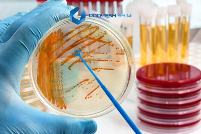 عوامل آلودگی محیط کشت چیست ؟
