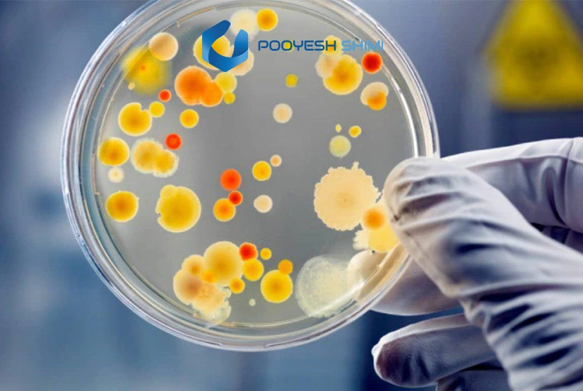 بررسی عوامل آلودگی محیط کشت